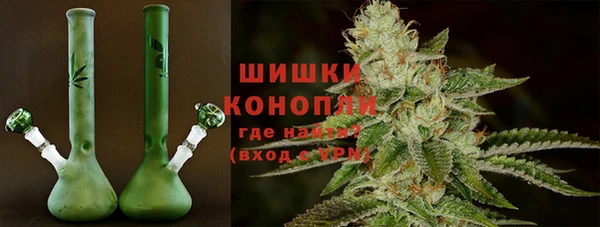 индика Горняк