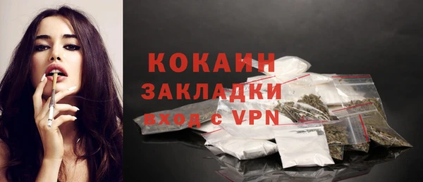 индика Горняк