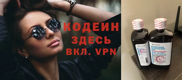 индика Горняк