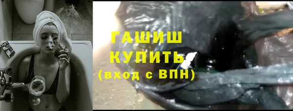 индика Горняк