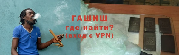 индика Горняк