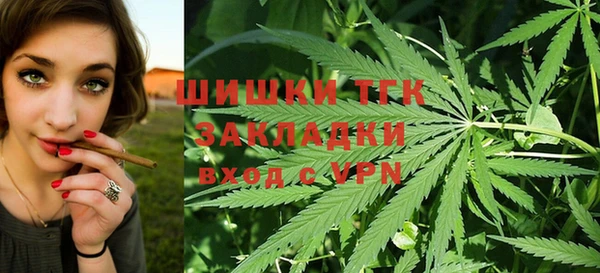 индика Горняк