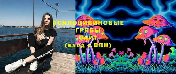 индика Горняк