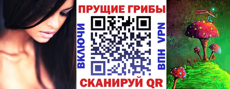 Псилоцибиновые грибы Cubensis  Комсомольск-на-Амуре 